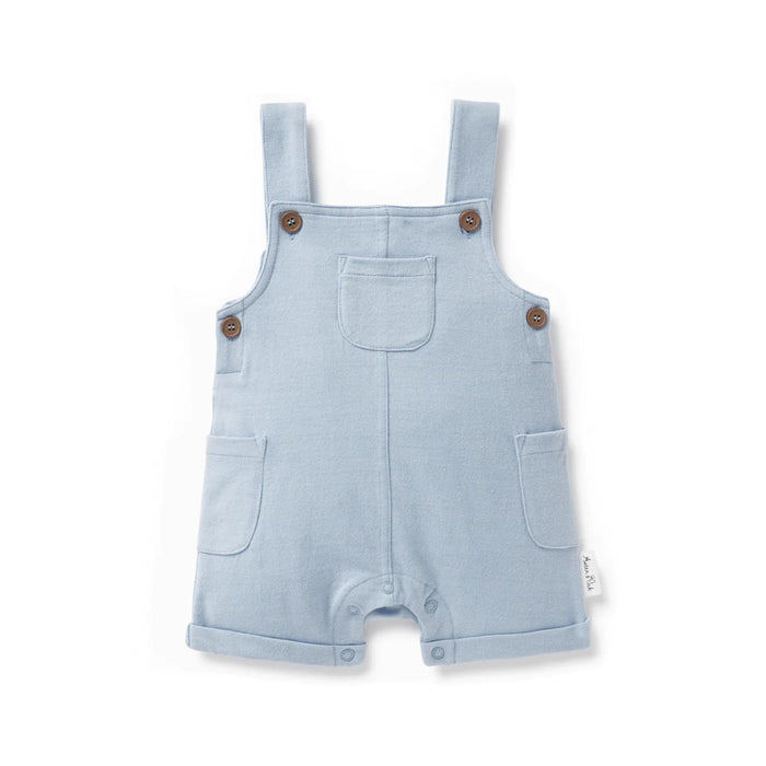 ASTER AND OAK CHAMBRAY OVERALLS - BLUE