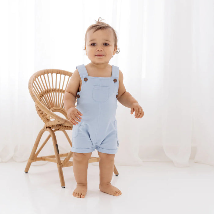 ASTER AND OAK CHAMBRAY OVERALLS - BLUE