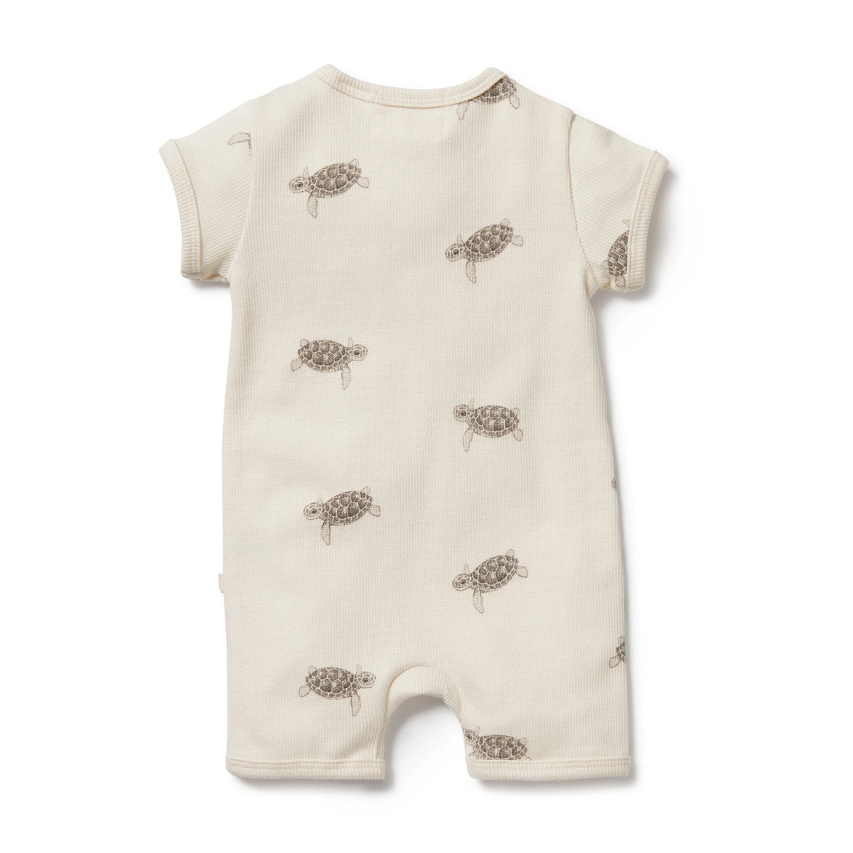 WILSON AND FRENCHY ORGANIC BOYLEG ZIPSUIT - TINY TURTLE