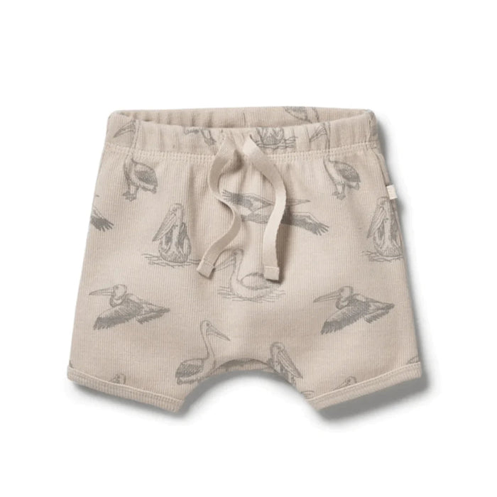 WILSON AND FRENCHY ORGANIC TIE FRONT SHORT - LITTLE PELICAN